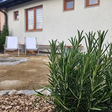 Tatil Evi Vyton