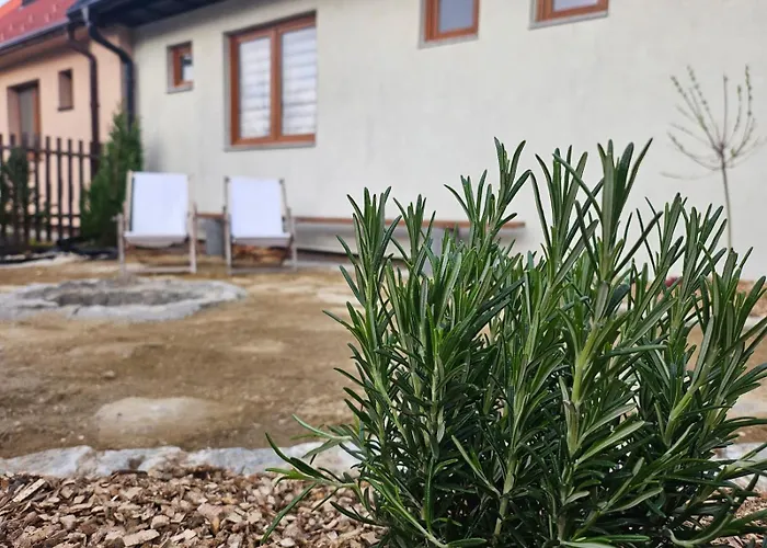 Tatil Evi Vyton